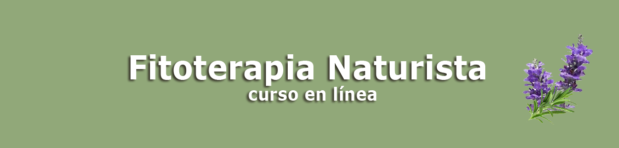 Banner TP_Fitoterapia Naturista 3