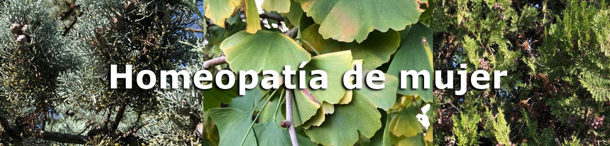 Homeopatia mujer